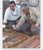 Official Inspection by Engineers at NTPC